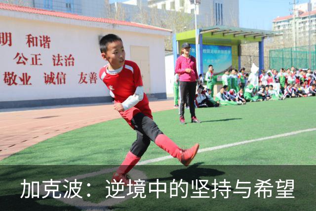 加克波：逆境中的坚持与希望